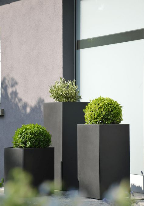 Give A Home a Contemporary Front Door Entryway Front Door Plants, Front Door Planters, Modern Planters Outdoor, Contemporary Front Doors, Front Door Entryway, Winter Planter, Modern Pot, Potted Plants Outdoor, Modern Front Door