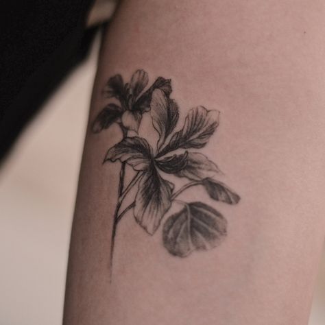 Tattoo uploaded by Lesine @le.sinex Hong Kong • Bauhinia botanical fineline tattoo • Tattoodo Bauhinia Tattoo, Kong Tattoo, Bauhinia Flower, Hong Kong Tattoo, Fineline Tattoo, Minimal Tattoo, Flower Tattoo, Hong Kong, Tattoos