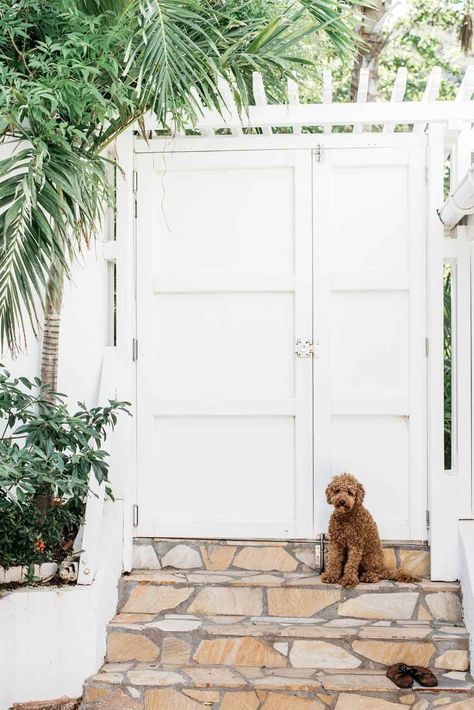 Caribbean Design, Entry Courtyard, Miami Vintage, Caribbean Homes, American Couple, Dreamy Beach, Gate Ideas, Caribbean Island, St Barts