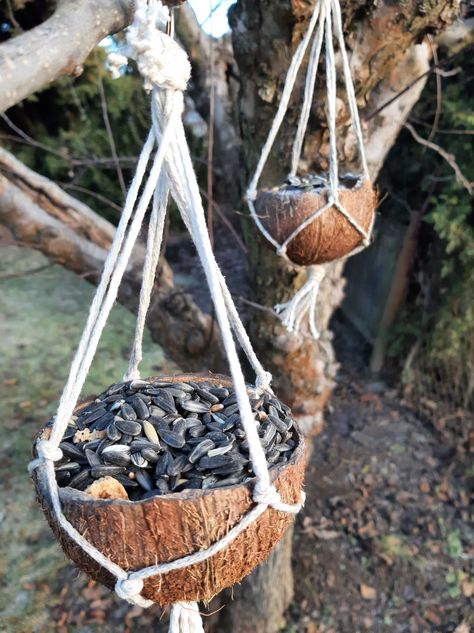 Macrame Bird Feeder, Feeding Birds In Winter, Diy Coconut, 2bhk House Plan, Shells Diy, Diy Bird Feeder, Diy Crafts Paper Flowers, Coconut Shell, Diy Stuffed Animals