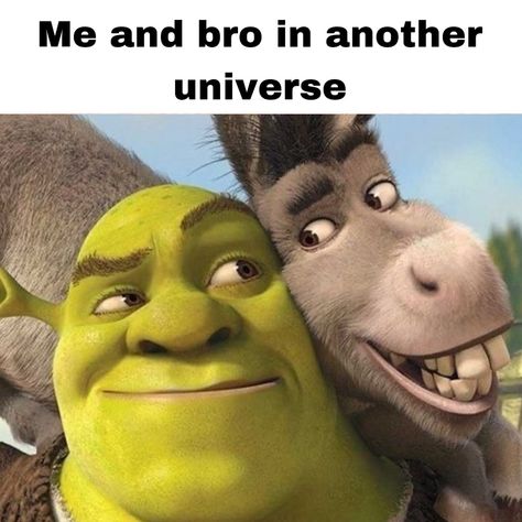 ₍ ᐢ.ˬ.ᐢ₎˚୨୧ tag your 4lifer - - ₊˚ପ⊹ - 🏷️ #explore #foryou #aesthetic #duo #besties #4lifers Donkey Memes Funny, Shrek And Donkey Matching Pfp, Donkey Aesthetic, Shrek And Donkey, Donkey Funny, Shrek Funny, Shrek Donkey, Digital Marketing Manager, Animal Humour