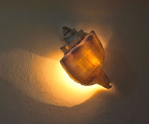 Wall decor with a decorative shell sconce.... in a shell shaped home! http://www.completely-coastal.com/2013/02/shell-house.html Shell House, Natural Homes, Beach Theme Decor, Shell Decor, Mermaid Life, Beach Living, Coastal Wall Art, Shell Art, Home Room Design