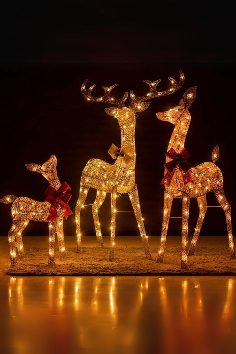 This delightful decorative set includes 3 deer, a family of deer. Complete with a buck, a doe and a fawn, the deer are covered in a glittering mesh fabric and each piece is lit up by warm white LED bulbs. Each deer is wearing a red bow and bell around its neck. 3-Piece Pre-lit 3D Christmas Reindeer Family, Lighted Glitter Christmas Deer Family Holiday Decoration with 210 Warm White LED Lights (3D Family) #ad Reindeer Outdoor Decorations, Outdoor Reindeer, Christmas Reindeer Decorations, Warm White Led Lights, Deer Family, Reindeer Decorations, Outdoor Christmas Lights, Christmas Trends, Decorating With Christmas Lights