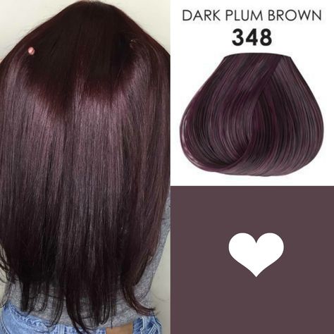 Bleach Placement Hair, Amethyst Brown Hair, Plum Tinted Brown Hair, Hair Color Plum Brown, Dark Brown Hair Purple Tint, Dark Brown Purple Tint Hair, Cool Toned Plum Hair, Plum Brown Hair, Hair Color Swatches