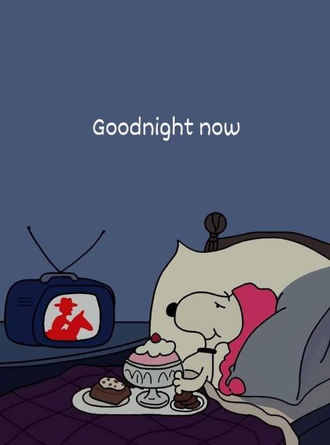 Goodnight Snoopy Gif, Good Night Snoopy, Cute Good Night Images, Good Night Meme, Bujo Quotes, Goodnight Baby, Snoopy Sleeping, Goodnight Snoopy, Charlie Brown Comics