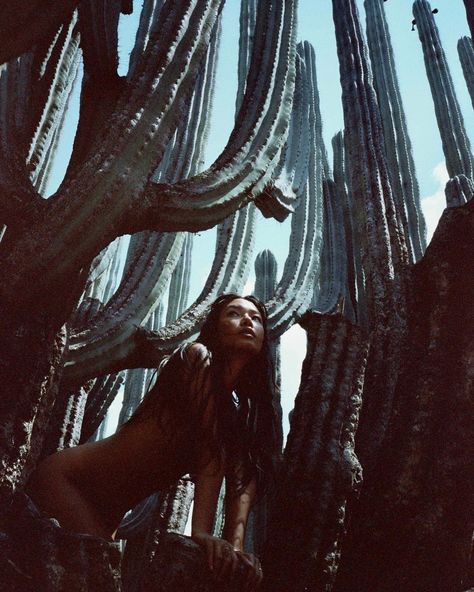 Mayan Photoshoot, Rebirth Photoshoot, Editorial Nature Photoshoot, Cactus Garden Photoshoot, Nature Fashion Photoshoot Editorial, Cactus Photoshoot, Mysterious Photos, Women In Nature, Photography In Nature