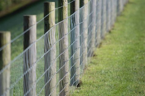 Wire Fence Ideas, Barb Wire Fence, Rabbit Fence, Welded Wire Fence, Wire Fencing, Barb Wire, Mesh Fencing, Types Of Fences, Wire Fence