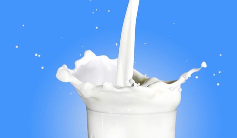 Everything You Need to Know About A2 Milk Lactose Intolerant Symptoms, A2 Milk, Gut Inflammation, Casein Protein, Observational Study, Jersey Cow, Organic Milk, Lactose Intolerant, Milk Alternatives