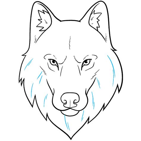 Wolf Head and Face step-by-step drawing tutorial: step 11 Wolf Head Drawing, Wolf Face Drawing, Wolf Drawing Easy, Cute Wolf Drawings, Cartoon Wolf, Face Outline, Drawing Guides, Wolf Face, Drawing Heads