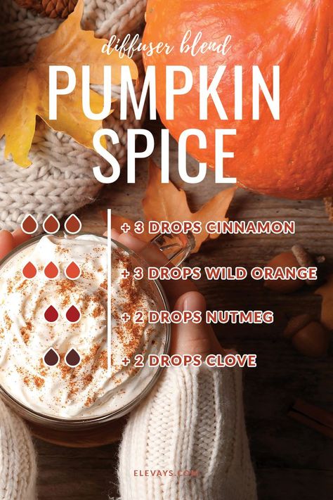 Pumpkin Essential Oil, Diffuser Scents, Essential Oil Perfumes Recipes, Fall Essential Oils, Best Essential Oil Diffuser, Fall Diffuser Blends, Cozy Mood, Essential Oils Diffuser, Essential Oil Diffuser Blends Recipes