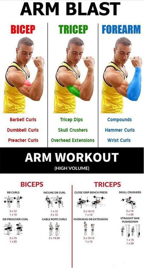 Exercises For Men, Transformation Fitness, Biceps And Triceps, Weight Training Workouts, Workout Chart, Triceps Workout, Biceps Workout, Body Fitness, Gym Workout Tips