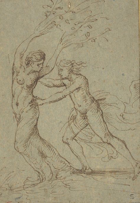 Apollo And Daphne, Medieval Artwork, Master Drawing, Classic Image, National Gallery Of Art, Vintage Wall Art, Vintage Wall, Portrait Drawing, Vintage Walls