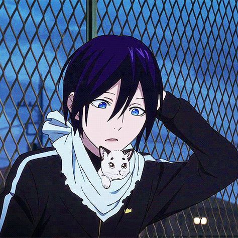 Milord and yato Noragami Bishamon, Noragami Cosplay, Noragami Manga, Yato And Hiyori, Yato Noragami, Noragami Anime, Tamako Love Story, Dengeki Daisy, Arte Sailor Moon