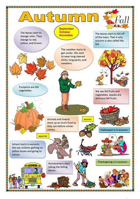 Autumn - English ESL Worksheets for distance learning and physical classrooms Fall Vocabulary, Seasons Worksheets, Fall Worksheets, Fall Vegetables, English Activities, Classroom Posters, Fall Kids, Autumn Activities, Worksheets For Kids