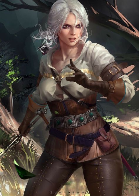 Hestia Anime, Ciri Witcher, Witcher Wallpaper, The Witcher Wild Hunt, The Witcher Game, The Witcher Geralt, The Witcher Books, Witcher Art, 다크 판타지