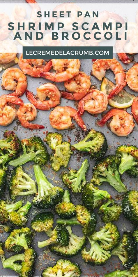 Sheet Pan Shrimp Scampi, Broccoli Shrimp, One Pan Dinners, Scampi Shrimp, Recipes Broccoli, Sheet Pan Shrimp, Lemon Garlic Sauce, Pan Shrimp, Sheet Pan Suppers