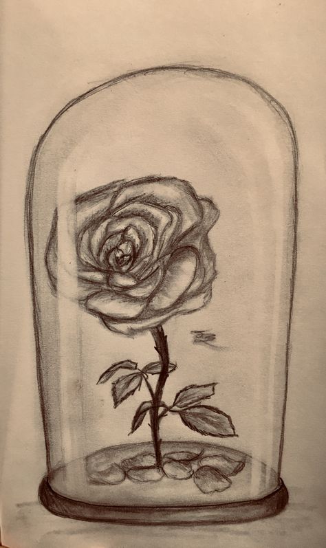 JZ Drawing* rose in a vase Vase Pencil Drawing, Rose In A Vase, Roses In Vase, Roses Vase, Vase And Flowers, Drawing Rose, Heart Shaped Vase, Plant Sketches, Flower Drawings