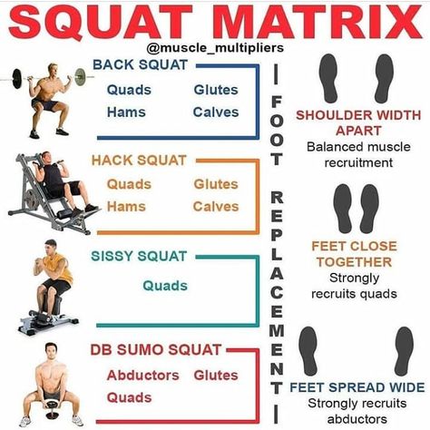 Squat matrix. Did you know these squat variations? Follow @diet_gym_tips Credits @muscle_multipliers #musclebuilding #musclegrowth #gainingmuscle #bodybuilding #buildmuscle #musclegain #protein #squat #deadlift #workout #abs #diet #fatloss #ripped #fitspo #squatvariation #squatgirl #squatguide #squatdeep #squatclean #squatworkout #squatspo #squatchallenge #girlwholifts #girlswhosquat #workoutoftheday #workouttechniques #workoutnutrition Deadlift Workout, Emom Workout, Chest Workout At Home, 6 Pack Abs Workout, Abs Diet, Squat Variations, Best Leg Workout, Weighted Squats, Workout Abs