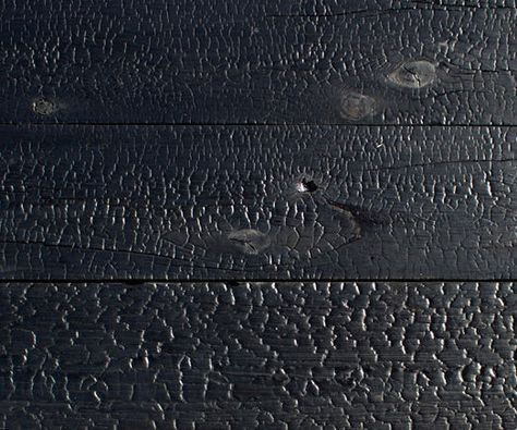 Backyard Shou Sugi Ban Charred Wood Siding, Charred Wood, Sugi Ban, Shou Sugi Ban, Wood Siding, New Green, Creative Home, All Black Sneakers, Modern Design