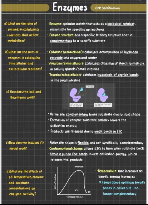 Enzymes Biology Notes, Enzymes Notes, Enzymes Biology, Biology Notes, Pretty Notes, 1k Followers, Biology, Short Videos, Created By