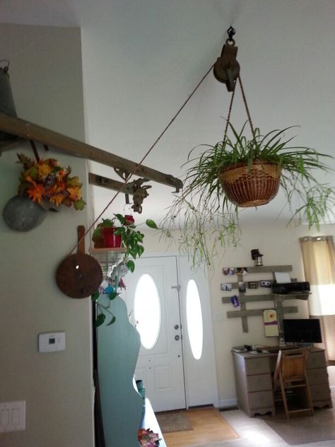 Hanging Pot Rack Pulley, Pulley Shelf Hanging Shelves, Pulley Hanging Plants, Hanging Plant Pulley System, Pulley System For Plants, Pully Plant Hanger, Plant Pulley System, Plant Pulley, Cafe Plants