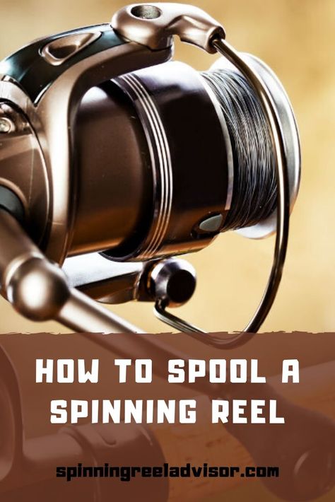 How To Spool A Spinning Reel, Surf Fishing Tips, Filleting Fish, Fishing Hacks, Largemouth Bass Fishing, Homemade Fishing Lures, Rainbow Trout Fishing, Trout Fishing Tips, Fishing Ideas