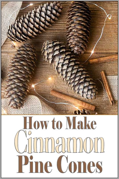 Learn how to make cinnamon pine cones easily at home. This DIY is less expensive than buying store bought scented ones. The results are perfect for homemade potpourri, centerpieces, ornaments and more! #tutorial #craft #homedecor #falldecor #fallcraft #wintercraft #winterdecor #Christmas #christmasdecor #christmascraft #pinecones Cinnamon Pinecones, Homemade Potpourri, Pinecone Centerpiece, Diy Cinnamon, Scented Pinecones, Cinnamon Ornaments, Christmas Pine Cones, Diy Pinecone, How To Make Oil