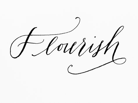 ... Flourish Tattoo, Pretty Lettering, Fun Calligraphy, Calligraphy I, Creative Class, Sumi Ink, Lettering Practice, Brand Fonts, Calligraphy Letters