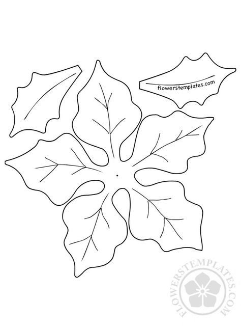 Diy Felt Poinsettia, Poinsettia Template, Leaves Coloring, Felt Flower Template, Recycled Christmas Decorations, Poinsettia Leaves, Sewn Christmas Ornaments, Flower Templates Printable, Flower Pattern Drawing