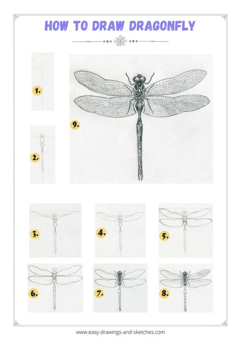 Learn how to draw dragonfly in few simple streps Draw Dragonfly, Dragonfly Drawings, Owl Feather Tattoos, Infinity Tattoo With Feather, Minimalist Tattoo Design, Small Dragonfly Tattoo, Tattoos Lion, Feather With Birds Tattoo, Tattoos Heart