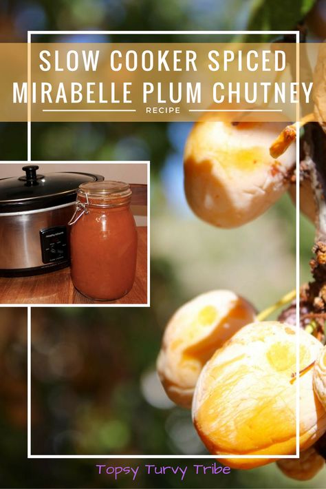 Slow Cooker Spiced Mirabelle Plum Chutney   topsyturvytribe  #foodiefriday Mirabelle Plum Recipe, Plum Chutney Recipes, Bulk Recipes, Allotment Recipes, Apple Chutney Recipe, Plum Chutney, Food Preserving, Plum Recipes, Yellow Plums