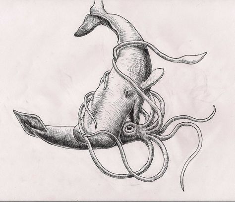 whale vs squid drawing Sperm Whale Tattoo, Squid Sketch, Humpback Whale Tattoo, Squid Drawing, Killer Whale Tattoo, Squid Tattoo, Whale Tattoo, Torso Tattoos, Giant Squid