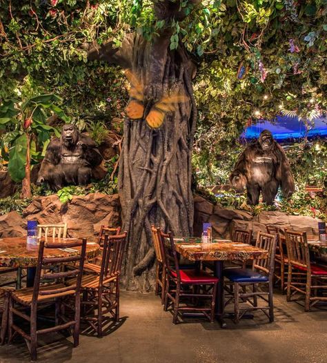 Rainforest Cafe Aesthetic, Habesha Restaurant, Jungle Cafe, Jungle Restaurant, Forest Restaurant, Jungle Aesthetic, Selfie Wall, Design Cafe, Rainforest Cafe