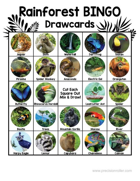 Learn to identify rainforest animals while playing a fun game of bingo! Rainforest Animals Preschool, Jungle Animal Activities, Jungle Theme Games Preschool, Rainforest Activities For Kids, Rain Forest Crafts, Animal Summer Camp Activities, Preschool Rainforest Activities, Rainforest Activities Preschool, Preschool Rainforest