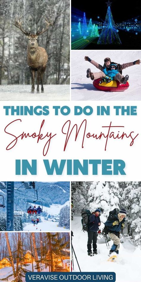 Best Things To Do In the Smoky Mountains In Winter • Great Smoky Mountains Winter Hike • Winterfest lights • Visit Ober Gatlinburg: Snow Tubing, Skiing & Snowboarding • Guided Tour in winter in the Smokies Wilderness At The Smokies, Mountains In Winter, Smoky Mountain Christmas, Smokey Mountains National Park, Smokey Mountains Vacation, Ober Gatlinburg, Smoky Mountains Tennessee, Winter Hike, Smoky Mountains Vacation