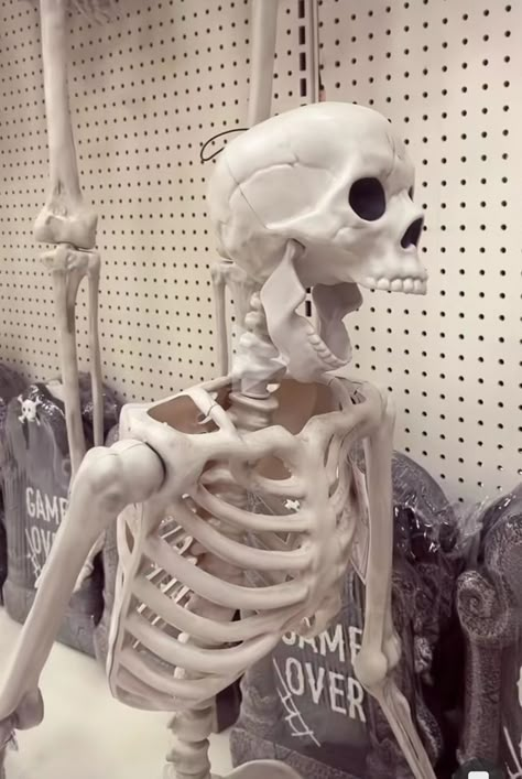 😨 // #skeleton #funny #pfp #what Fake Skeleton, Halloween Home Decor Indoor, Skeleton Pics, Silly Skeleton, Skeleton Funny, Cool Skeleton, Halloween Jokes, Funny Pfp, Indoor Ideas