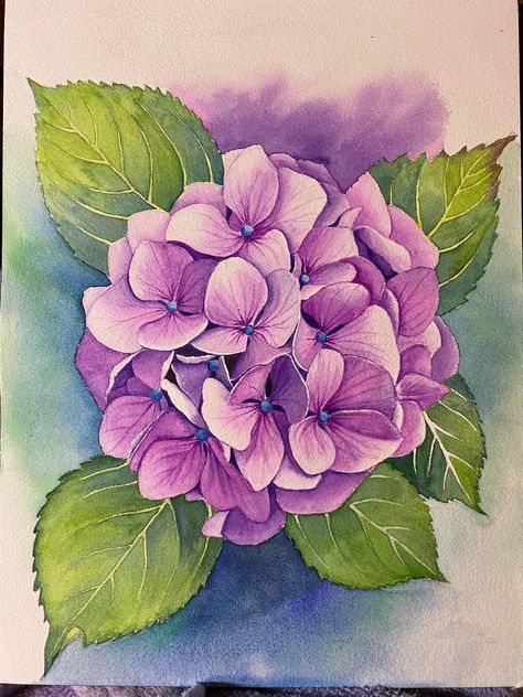 Drawing Of Hydrangea, Hydrangea Art Drawing, Purple Flower Drawing, Flower Drawing Hydrangea, Hydrangea Bush Drawing, Draw Hydrangea, Hydrangea Sketch, Hortensia Watercolor, Hydrangea Drawing