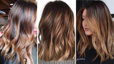 And yes, it’s inspired by your favorite sunglasses. Check out these tortoiseshell hair color inspirations before your next salon trip. Tortoise Hair Color, Tortoise Shell Hair Color, Tortoiseshell Hair, Gold Balayage, Honey Balayage, Tortoise Hair, Bronde Hair, Tortoise Shell Hair, Hair Brunette