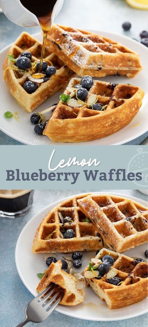 Blueberry Lemon Waffles, Mini Blueberry Waffles, Lemon Waffles Recipe, Blueberry Waffles Easy, Blueberry Waffle Recipe, Blueberry Lemon Breakfast, Lemon Waffles, Blueberry Waffles Recipe, Berries Breakfast