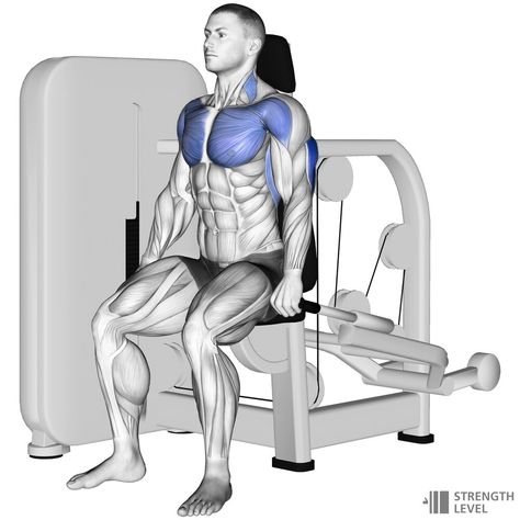 Seated Dip Machine Standards for Men and Women (kg) - Strength Level Seated Shoulder Press, Smith Machine Tricep Workout, Tricep Pull Down, Seated Tricep Press, Tricep Extension Machine, Seated Dips, Gym Plan, Tricep Dips, Phase 2