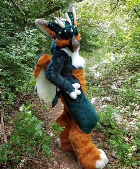 Dutchie Fursuit, Dutch Angel Dragon Fursuit, Fursuit Makers, Dragon Fursuit, Angel Dragon, Fur Suits, Fursuit Head, Pricing Guide, The Rush