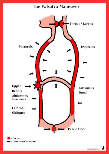 valsalva maneuver Valsalva Maneuver, Medical, Quick Saves