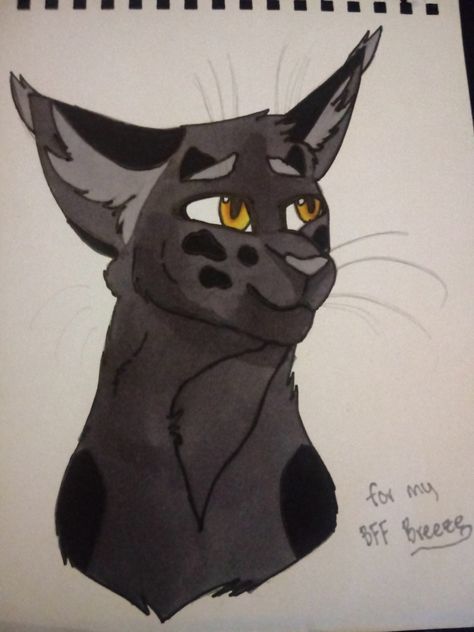 Gray wing is good boi Gray Wing Warriors, Gang Cat, Cat Gang, Warriors Cats, Warrior Cat, Warrior Cats, Youtube Video, Sofia, Birthday Party