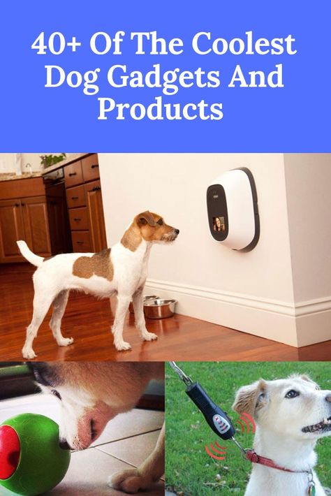 40+ Of The Coolest Dog Gadgets and Products For Your Best Friend  Revealed in this epic list is a variety of the coolest dog gadgets and unique dog products for your best friend. Check it out Today! Cool Dog Products, Best Dog Accessories, Dog Must Haves Products, Best Dog Products, Puppy Gadgets, Dog Products Must Have, Puppy Binder, Aesthetic Dog Supplies, Cool Dog Stuff