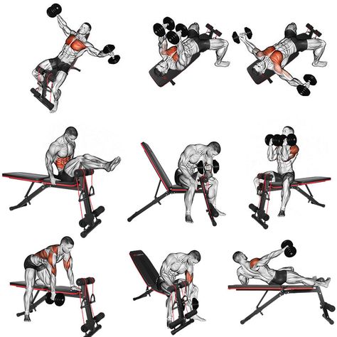 Wake Up Workout, Home Gym Inspiration, Bench Workout, Tricep Kickback, Gym Workout Planner, Adjustable Weight Bench, Different Exercises, Weight Benches, Muscle Fatigue