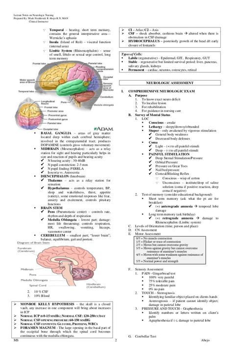 Neurology Nurse Practitioner, Behavioral Neuroscience Notes, Neurophysiology Notes, Neuro Nursing Notes, Neuro Assessment Nursing, Neuropsychology Notes, Neuroanatomy Notes, Neurology Notes, Neurocognitive Disorders