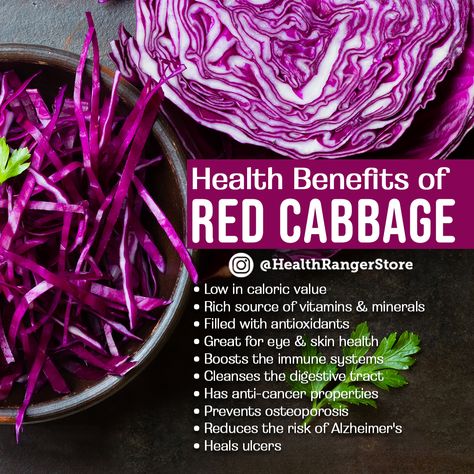 Red cabbage has quite a few beneficial effects as it is rich in a number of nutrients and vitamins. Benefits Of Red Cabbage, Drinking Recipes, Heart Diet, Balsamic Recipes, Low Sodium Diet, Lunch Meat Recipes, Valentine Recipes, Balsamic Recipe, Recipes Around The World