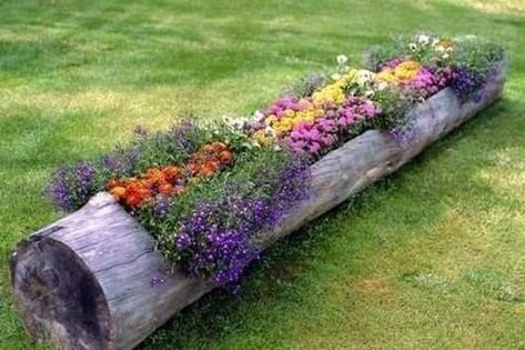 Backyard Planters, Diy Wooden Planters, Log Planter, Taman Diy, Upcycle Garden, Jardim Diy, Diy Planters, Garden Bed, Flower Planters