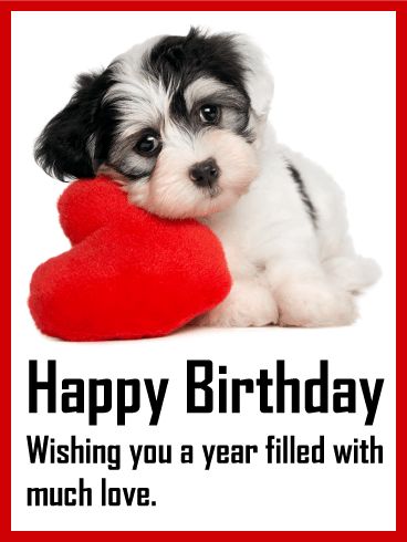 Happy Birthday Puppy, Birthday Fireworks, Happy Birthday Dog, Birthday Reminder, Happy Birthday Greetings Friends, Dog Birthday Card, Happy Birthday Wishes Quotes, Happy Birthday Wishes Cards, Happy Birthday Pictures