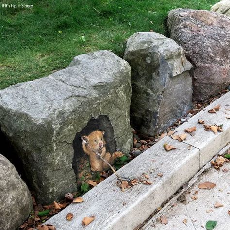 Sidewalk Painting, Street Art Illusions, David Zinn, Chalk Artist, Brick Art, New York Graffiti, Sidewalk Chalk Art, Sidewalk Art, 3d Street Art